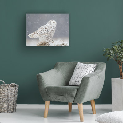 Art sur toile «Bachelor Ming H Yao A Side Portrait of Snowy Owl»