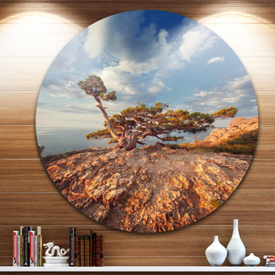 " Sunrise with Old Tree at Peak " Print