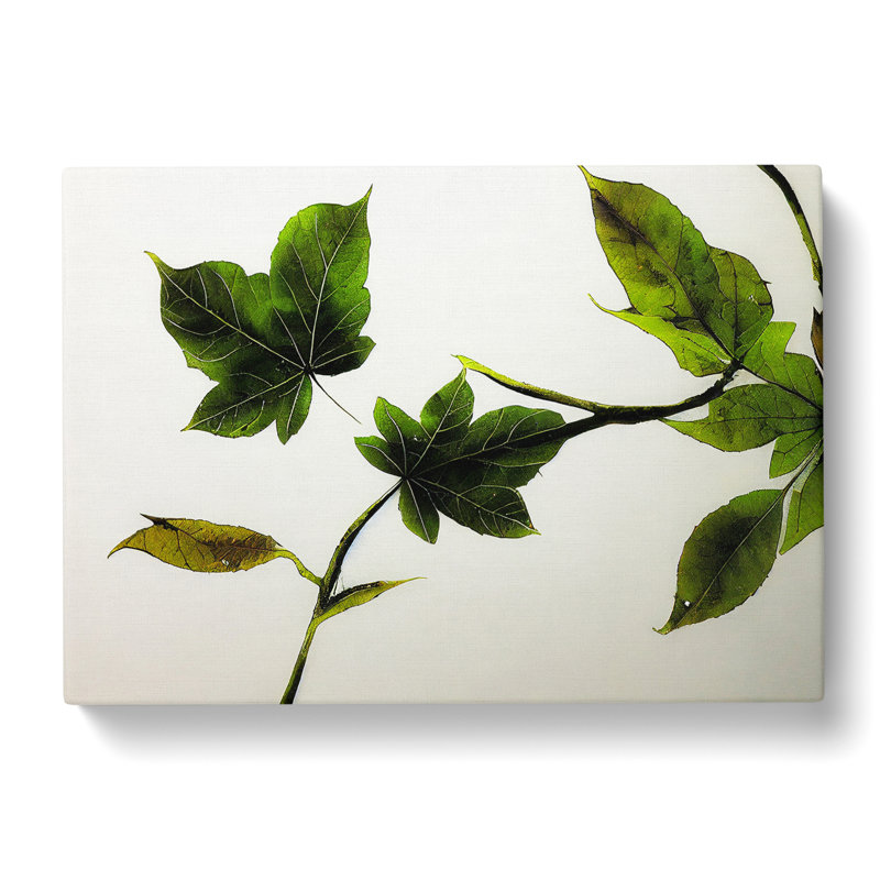 Garden Leaves - Wrapped Canvas, 40cm H x 60cm W x 3cm D