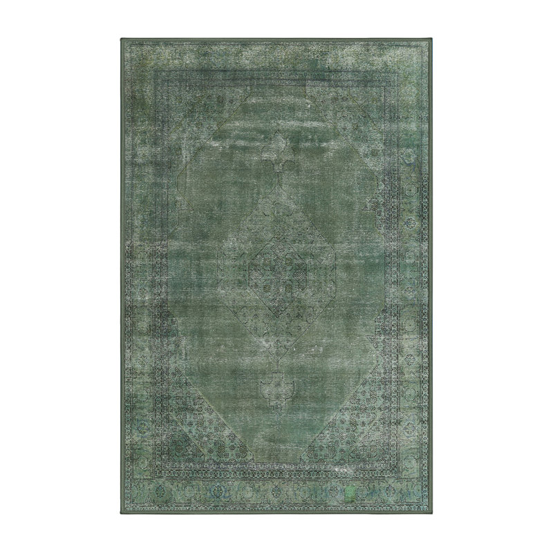 Ciann Oriental Indoor Rug, Runner 2' x 5'