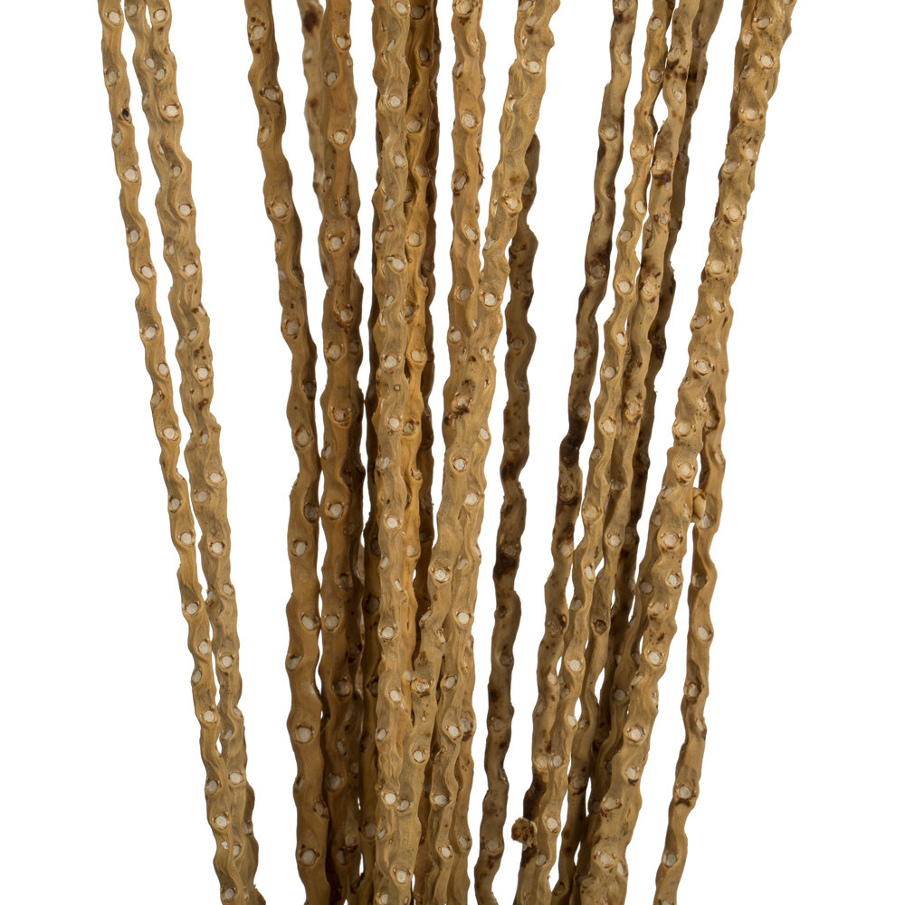 36'' Plant