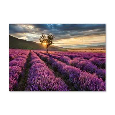 Lavender Field - Wrapped Canvas Print