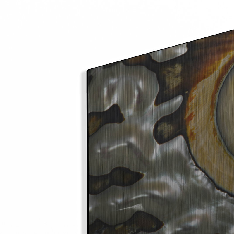 «Shell Spiral II» par Dennis Frates, H 12 po x l 16 po