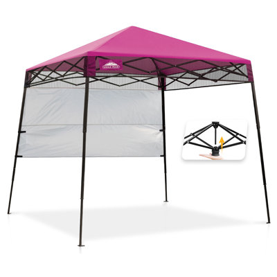 Pavillon escamotable de 8 pi L 8 pi. Auvent en acier D Adventure