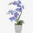 Mauve est en rupture de stock