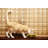 Djene and Pet Bowl-44720440-44720444
