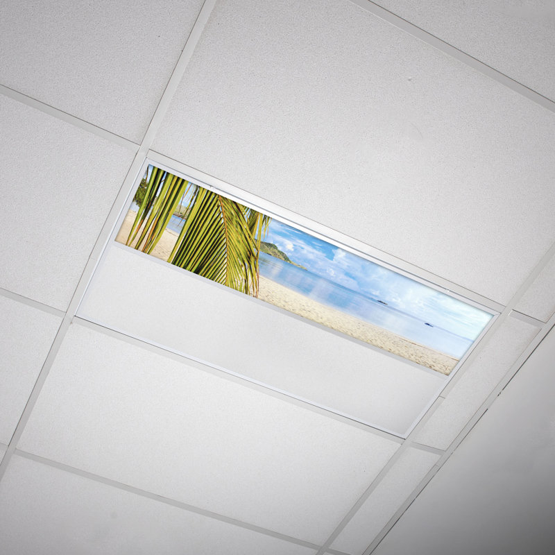 Beach Rectangle Fixture Component Ceiling Light