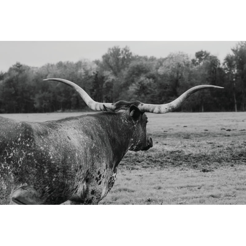 «Don't look back on» par Dakota Diener, reproduction d'art, H 20 po x l 30 po