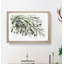 The Olive Branch - Framed Print-55611684-55611685