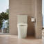 Veil Elongated Toilet Bowl With Skirted Trapway-577078728