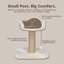 TRIXIE Mica 18" Cat Tree for Kittens with Scratching Post, Padded Platform and Hanging Toy