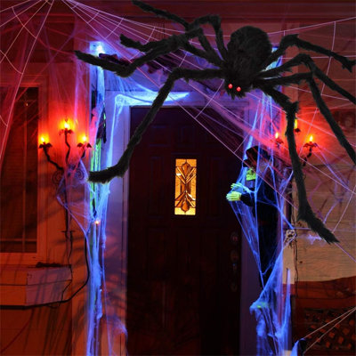 Halloween Spider Web