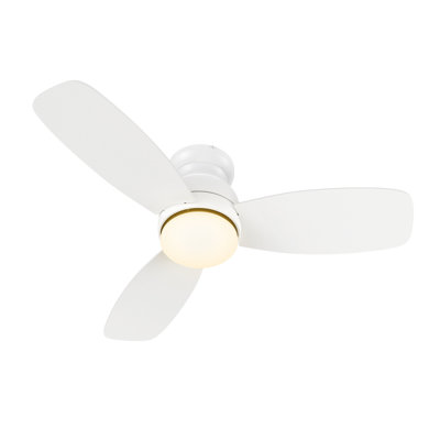 Vant 44'' Ceiling Fan with LED Lights