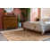 Cevenola Oriental Indoor Rug