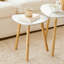 Three Leg Coffee Table