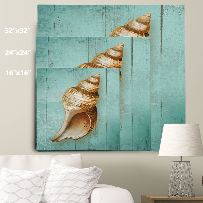 « conch », reproduction d’art sur toile tendue premium "" par conrad knutsen, H 16 po x l 16 po x P 1,5 po