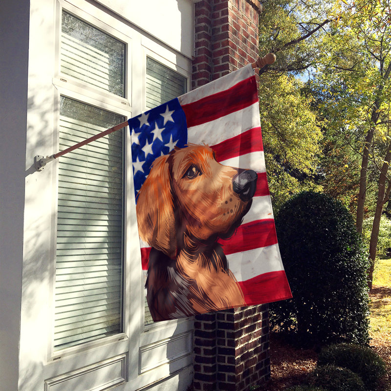 Polyester à 2 côtés 28 x 40 po drapeau maison, Chien polonais
