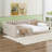 Upholstery Daybed and Side Storage pocket-1864078644-1635534424