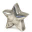 Raines Distressed Star-452672739-452663484