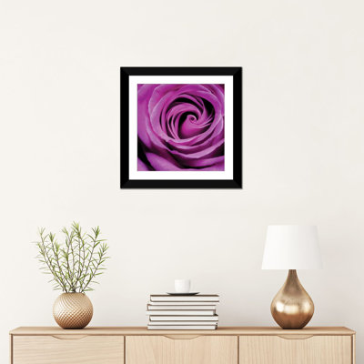 «Purple Rose» par PhotoINC Studio - Estampe numérique sur toile tendue avec châssis