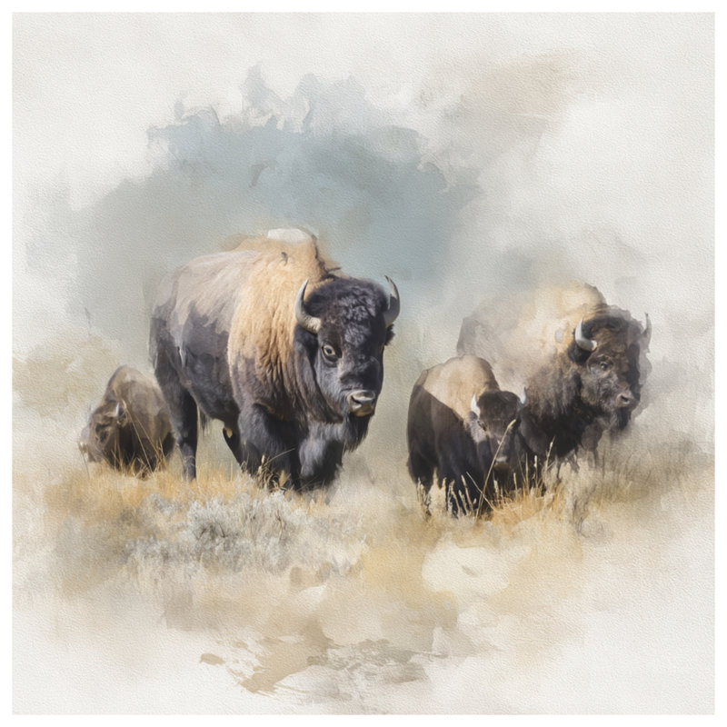 Bison Watercolor Art Comforter, Twin