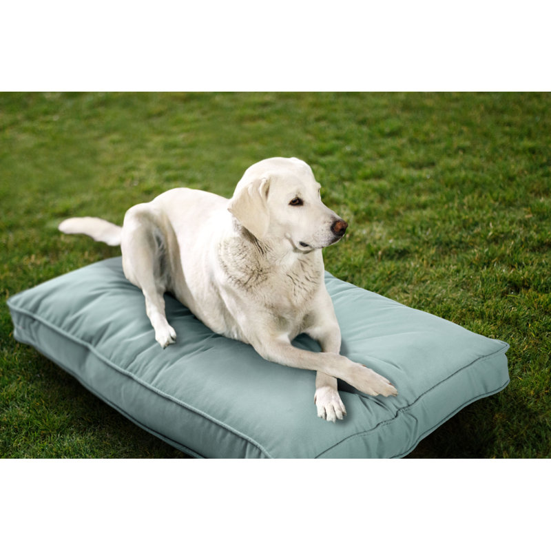 Lit pour chien d'intérieur et d'extérieur Sunbrella, Brume, Moyen (l 36 po x P 26 po x H 4 po)