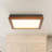 LED Light Flush Mount Ceiling Light