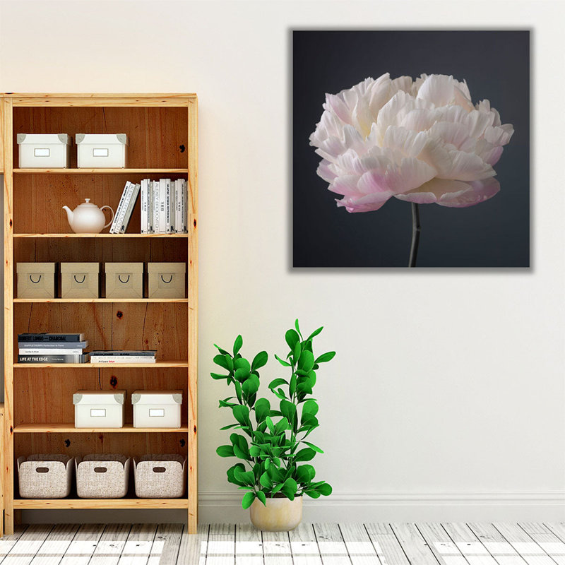 Fleur de pivoine - reproduction d'art sur toile, H 12 po x l 12 po