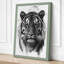 Tiger Gaze Modern - Wrapped Canvas-651748646-651748649
