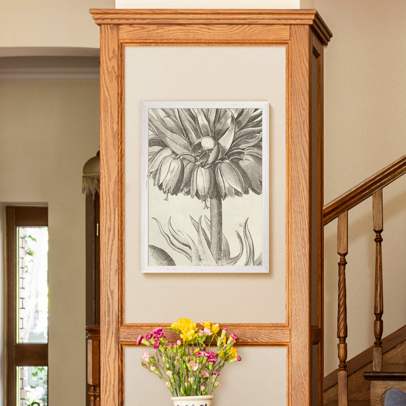 «Fresco Crown Imperial II» par Paul Cezanne - reproduction d'art, H 32 po x l 44 po x 1,25 po, Toile blanche encadrée