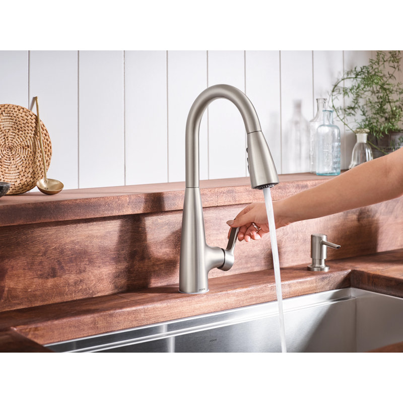 Distributeur de savon et de lotion Moen, Inoxydable