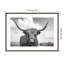 Highland Cow on the Ranch par Andre Eichman - Photographie de cadre photo-246943612-246943603