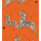 Zebras Animal Print Wallpaper Double Roll