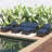 Tareq Wicker 5 - Person Patio Conversation Set with Cushions-831501336