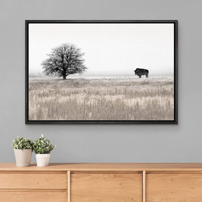 " Countryside Bison Buffalo Tree Landscape "
