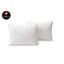 Oreiller en duvet d'oie Kittredge-176573774