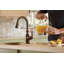 Robinet de bar rétractable avec Reflex et Duralock Brantford-9326981