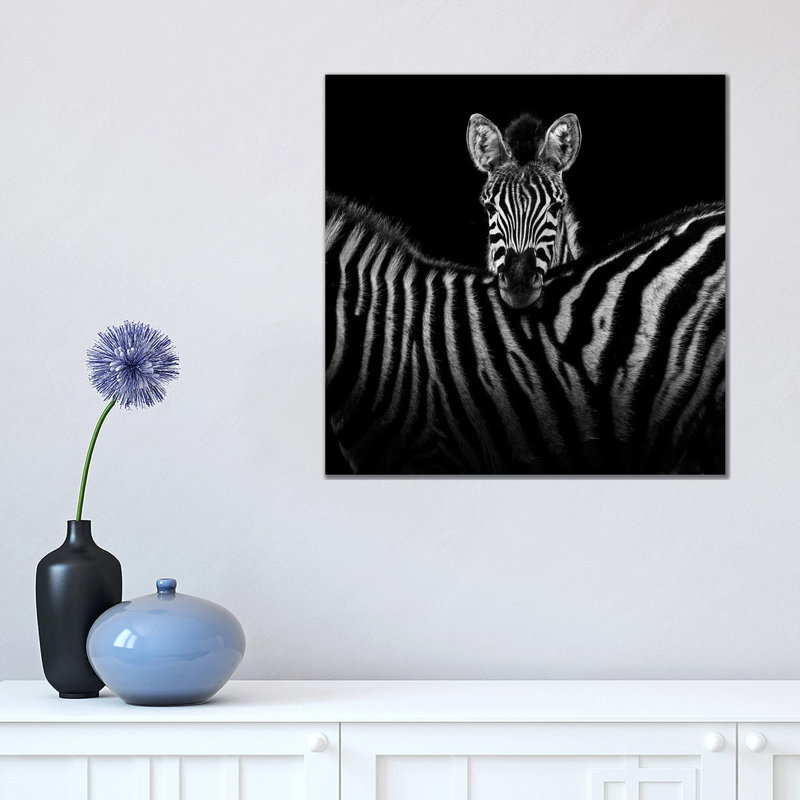 Two Zebras In Black And White I by Lukas Holas - Wrapped Canvas Print, 45.72 cm H x 45.72 cm W