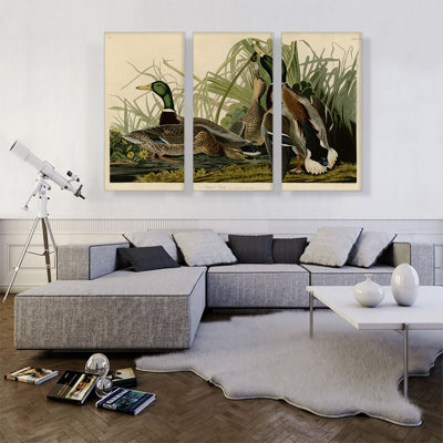 «Mallard Duck» par James Audubon - ensemble de 3 reproductions d'art sur toiles tendues