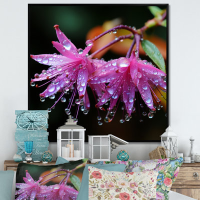 Garden Hardy Fuchsia Plants III - Fuschia Wall Art