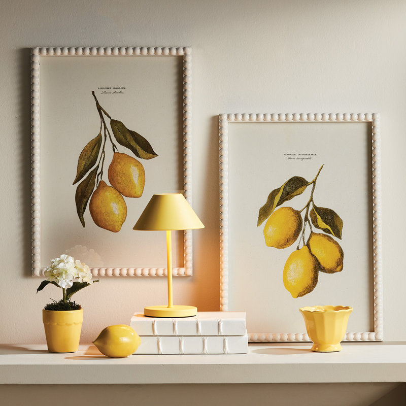 ÉTUDE DE DÉCOUPAGE DE LEMON, ENSEMBLE DE 3