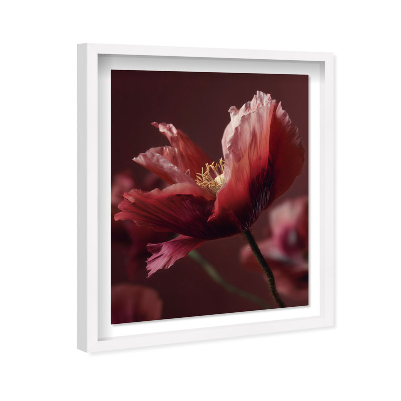 Merlot Blush Blossom II Shadowbox Floral & Botanical Print by Oliver Gal, Black Frame, 16 x 20, 31.5"H x 37.5"W