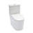 Ceramic One Piece Toilet, 12-Inch Rough-In, Dual Flush With Soft Closing Seat