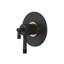 Amahle 1/2" Therm & Pressure Balance Trim with 5 Functions-715616035