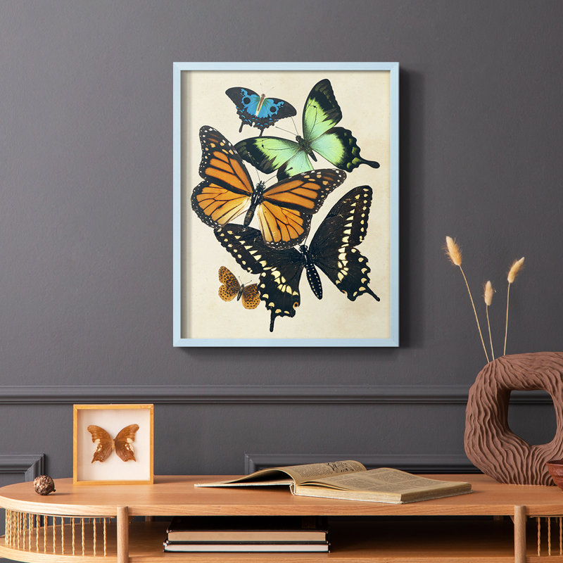 «Collage Butterflies I», reproduction encadrée - bois massif, Bleu, H 10 po x l 8 po