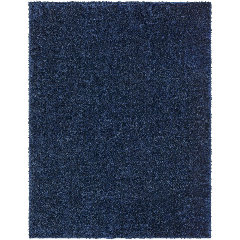 Basics by Wayfair™ Solid Shag Area Rug, Rectangle 5'3" x 7'