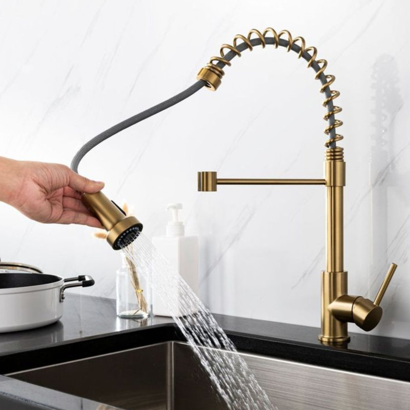 AA Warehousing Pull Out Kitchen Faucet, Brushed Gold