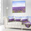 Coussin Schafer-1804995478-1804995479