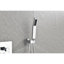 Robinet de pomme de douche mural-114019212