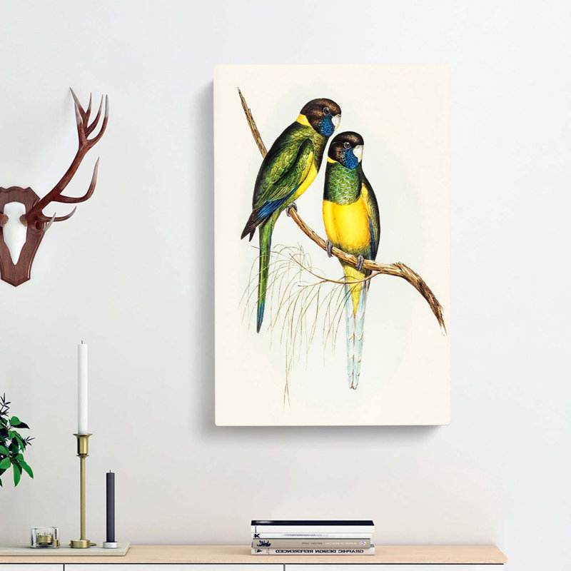Bauer's Parakeets by Elizabeth Gould - Wrapped Canvas Painting, 60cm H x 40cm W x 3cm D